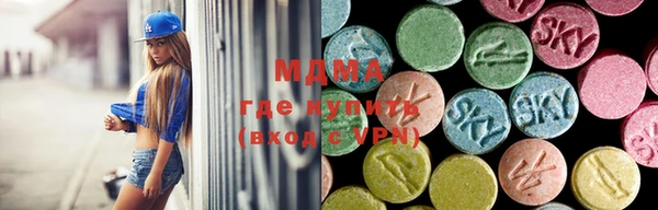 PSILOCYBIN Няндома