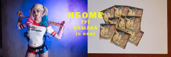 PSILOCYBIN Няндома