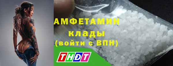 дмт Нягань