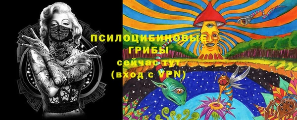 PSILOCYBIN Няндома