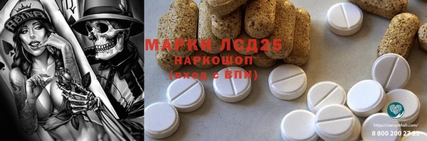 PSILOCYBIN Няндома